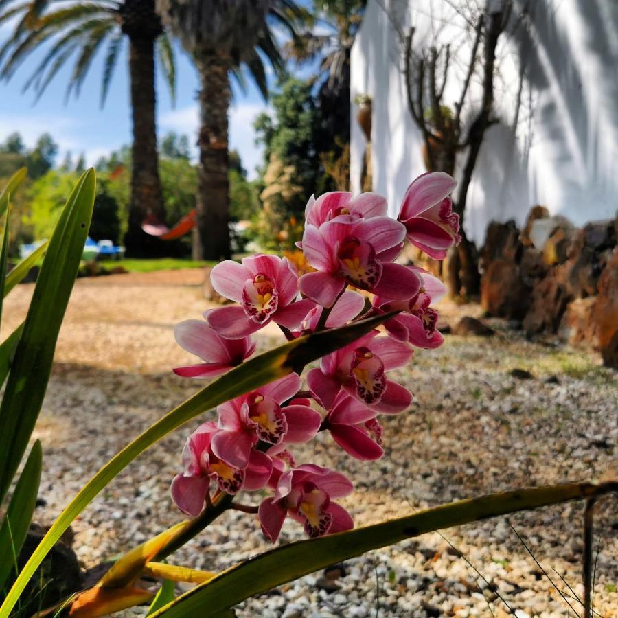 Quinta Do Paraiso São Teotónio Extérieur photo