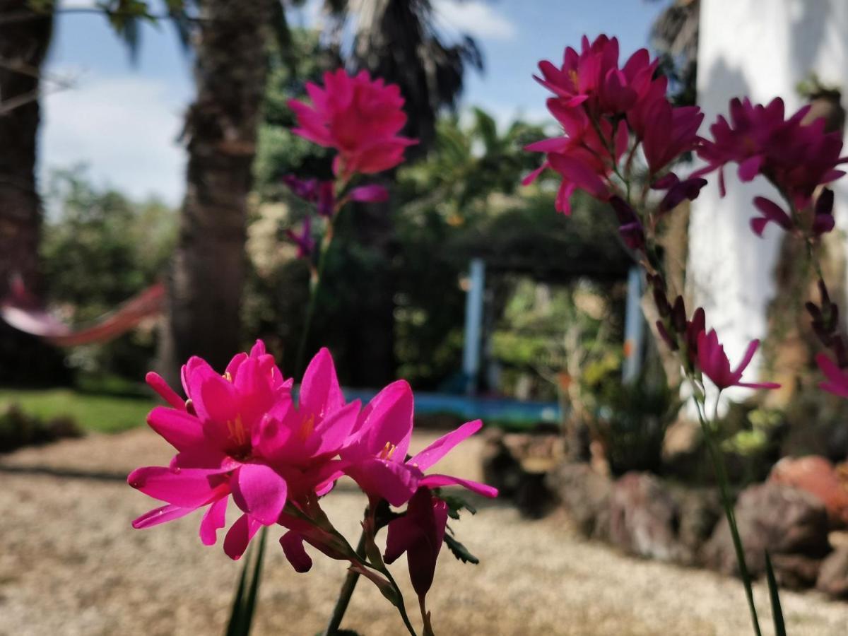 Quinta Do Paraiso São Teotónio Extérieur photo